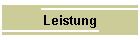 Leistung