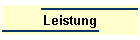 Leistung